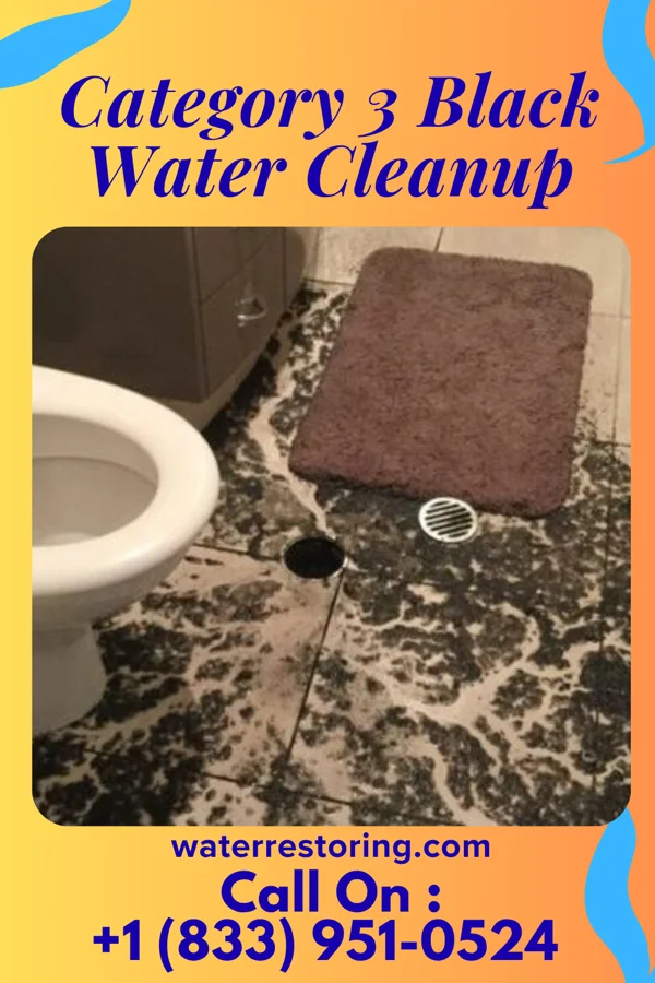 Category 3 Black Water Cleanup in Carlisle, OK